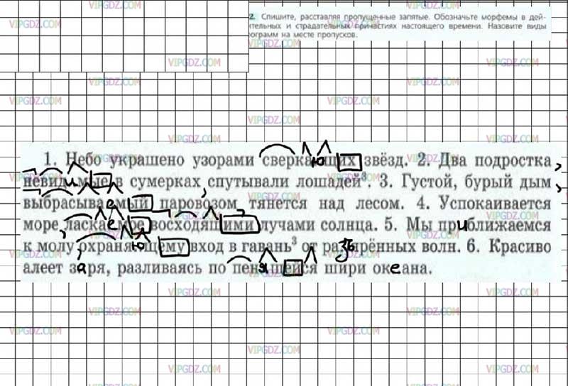 Списывать текст по русскому 7 класс